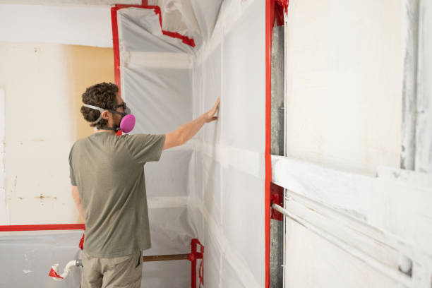 Reliable Sandy, OR Mold Removal Solutions