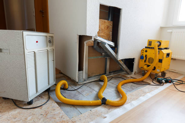 Best Forensic Mold Investigation  in Sandy, OR