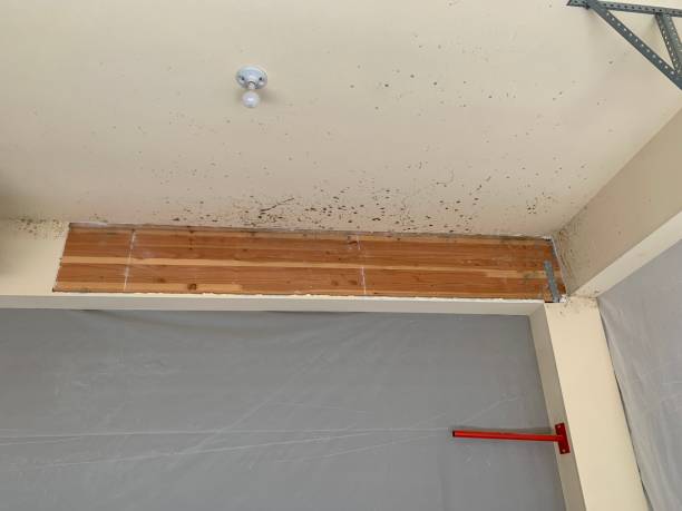 Mold Removal for HVAC Installations in Sandy, OR
